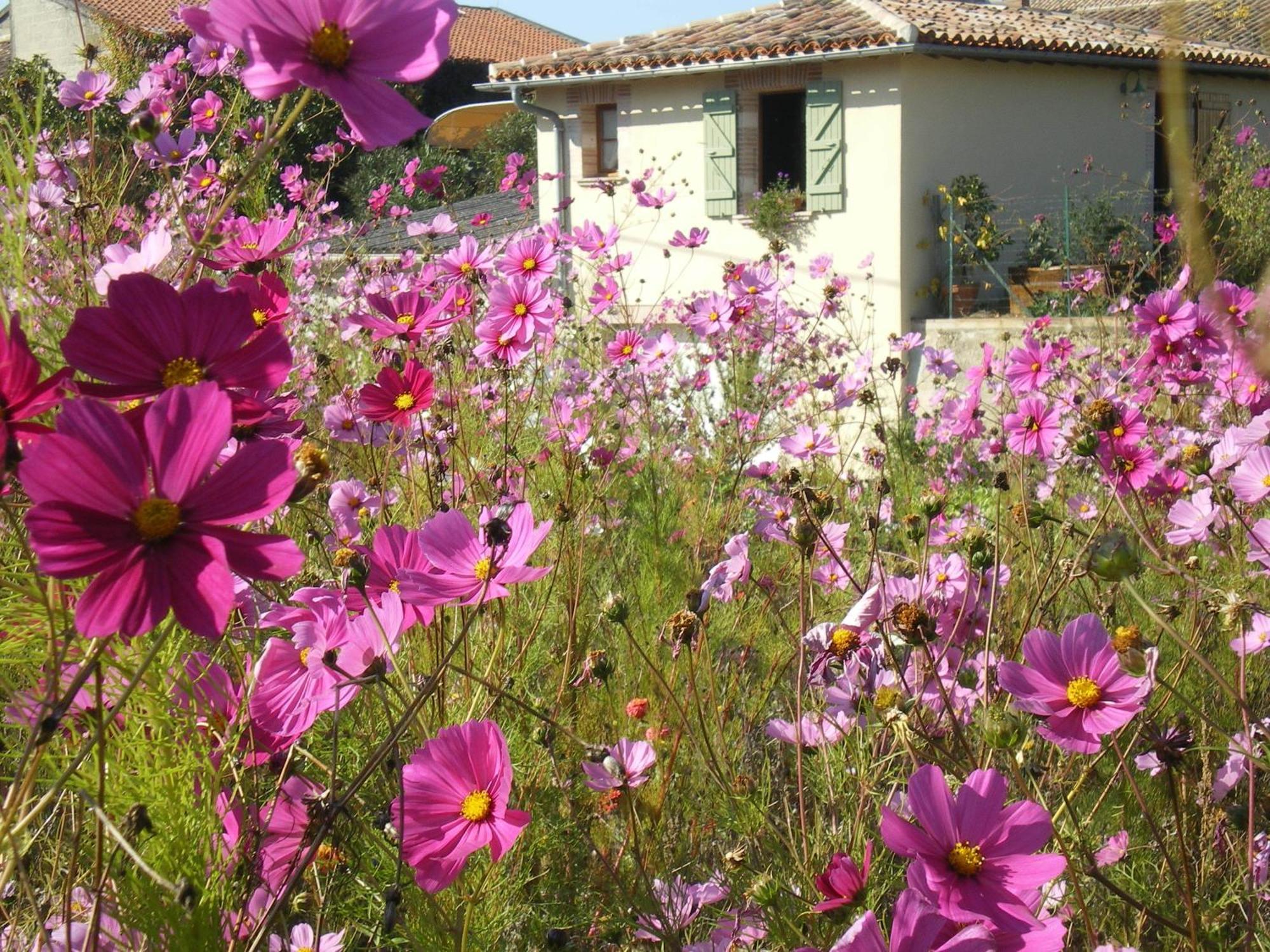 Villa Le Poulailler Lavit Esterno foto